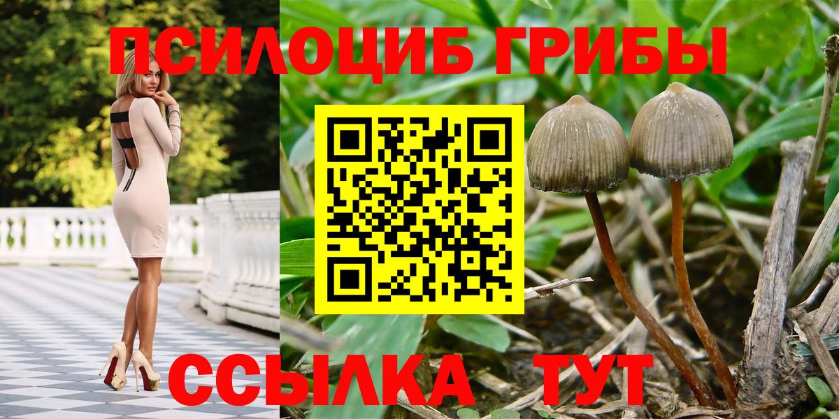 Псилоцибиновые грибы мухоморы  Вход с VPN  цены   Уварово 